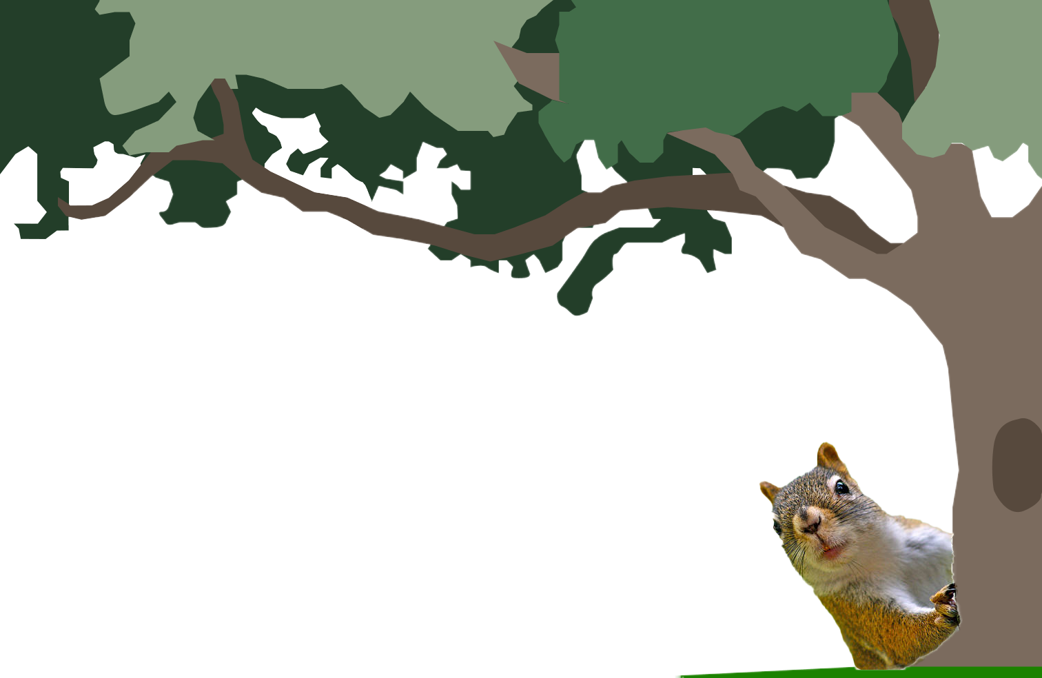 tree with squirrel image